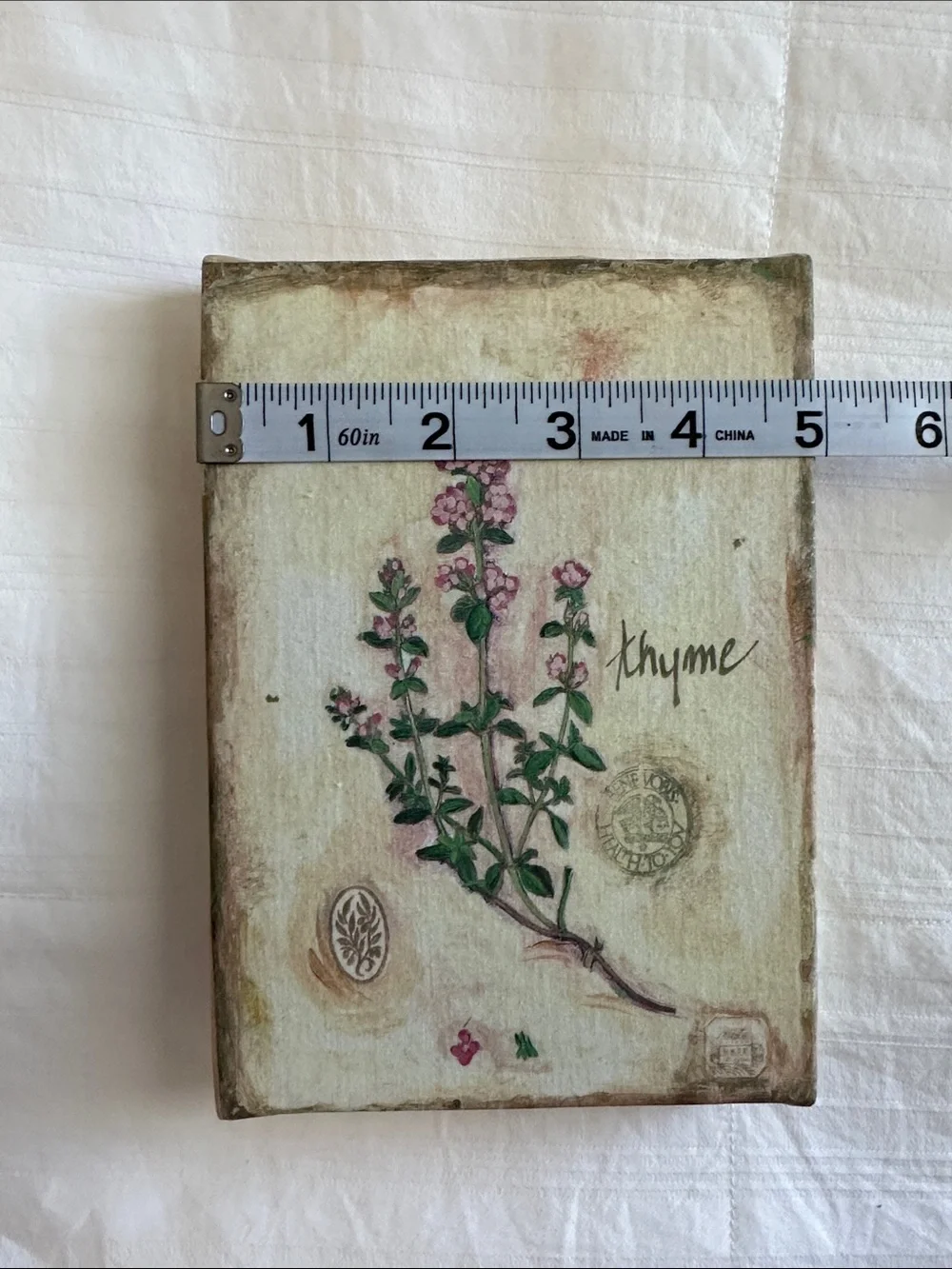 Botanical Thyme Wall Art Print - Pink and Green